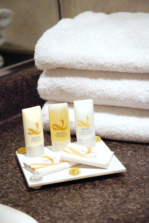 Quality Hotel Downtown-Inn At False Creek Vancouver Ruang foto